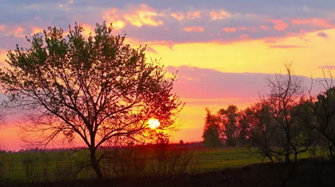 Spring landscape, sunset. timelapse. Stock Footage 49912036