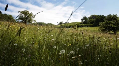 Spring landscape timelapse Stock Footage