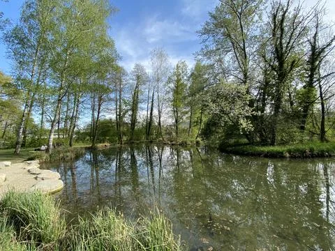 A spring landscape with trees along small lakes or ponds along the Glatt River Stock Photos