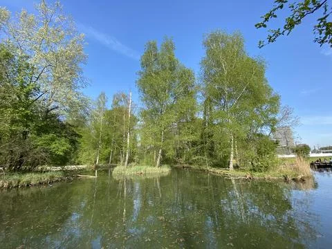 A spring landscape with trees along small lakes or ponds along the Glatt River Stock Photos