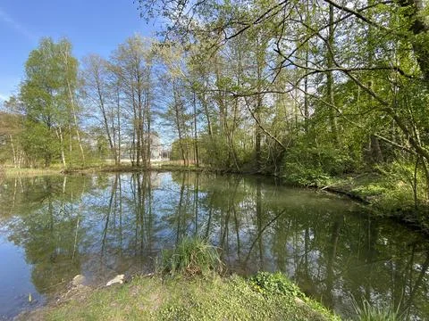 A spring landscape with trees along small lakes or ponds along the Glatt River Stock Photos
