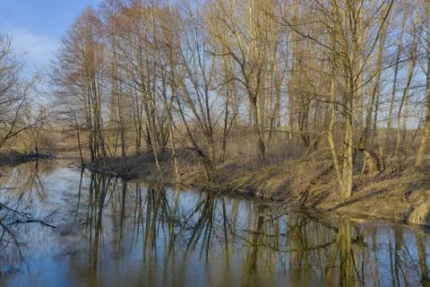 Spring landscape trees without leaves and their reflection in the river Stock-Fotos