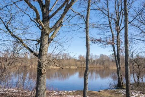 Spring landscape with trees without leaves on the river bank in early spring. Stock Photos