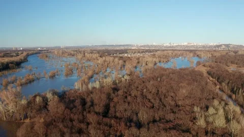 Spring landscape - valley and thick forest flooded with water, after heavy rains Stock Footage 152785633