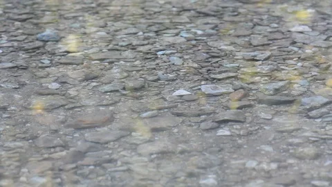 Spring landscape view of the river and mountains against the sky and houses Stock Footage 96065162