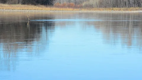 Spring landscape view of the river and mountains against the sky and houses Stock Footage 102481025