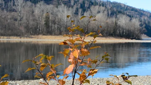 Spring landscape view of the river and mountains against the sky and houses Video stock 107088998