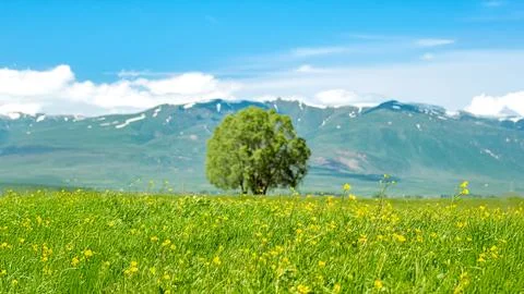 Spring Landscape Wallpaper with Copy Space Erzurum Plain, Turkey Stock Photos
