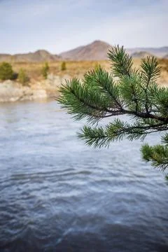 Spring landscape in warm colors. Stock Photos