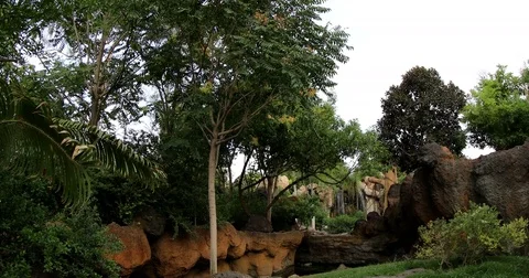 Spring landscape with waterfall Stock Footage 80095460