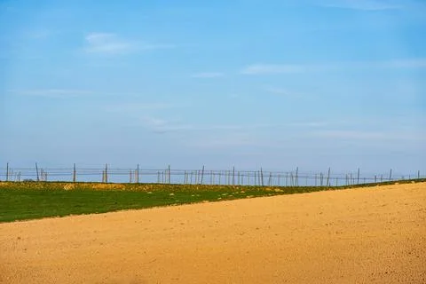 Spring landscape in which you can see growing grain and empty fields Stock Photos
