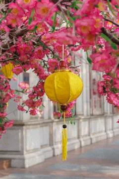 Spring lanterns Stock Photos