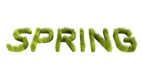 Spring Lawn Stock Illustration