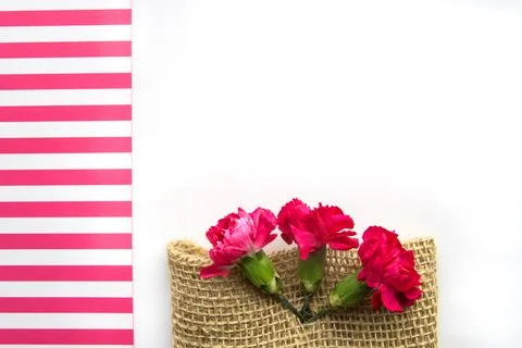 Spring layout for a creative greeting card, three pink carnations on a burlap Stock Photos