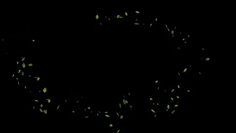 Spring leaf fall on a black background. Stock-Footage 126287132
