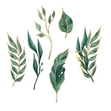 Spring leaves and branches Stock Illustration