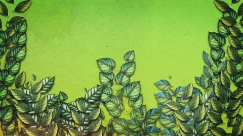 Spring leaves animation Stock Footage 256287474
