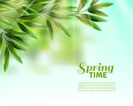Spring Leaves Background Stock Illustration