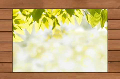 Spring leaves in brown boards Stock Illustration