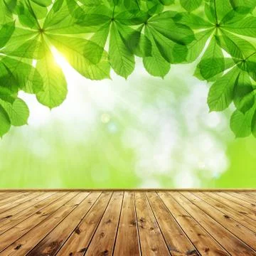 Spring leaves of chestnut tree Foto stock