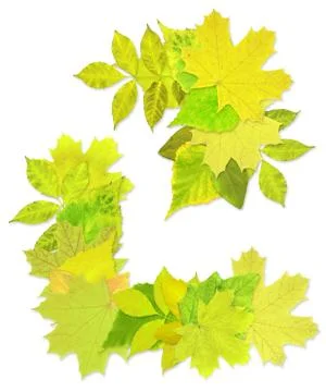 Spring leaves Stock Illustration
