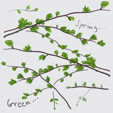 Spring leaves Stock Illustration