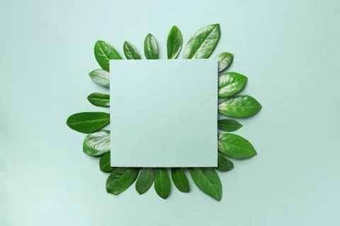 Spring leaves pattern on green background. Creative layout. Top view. Flat lay. Foto stock