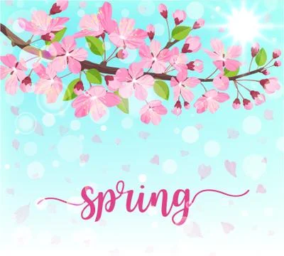 Spring lettering. Blossoming tree brunch with spring flowers. Vector Stock Illustration