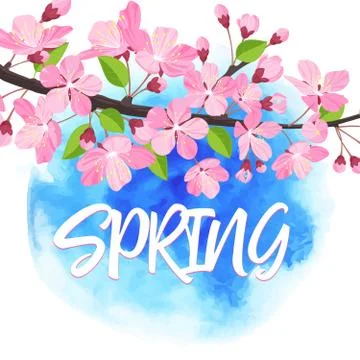 Spring lettering. Blossoming tree brunch with spring flowers. Vector illust.. Stock Illustration