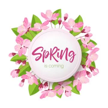 Spring lettering. Blossoming tree brunch with spring flowers on blue background 库存插图