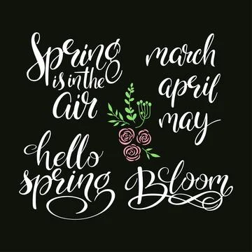 Spring lettering design Stock-Illustration
