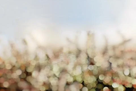 Spring, Light backround blur. Stock Photos