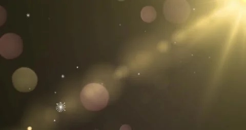 Spring Light Overlay, Soft Glowing Light Effect Stock Footage 342050473