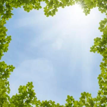 Spring Light Stock Photos