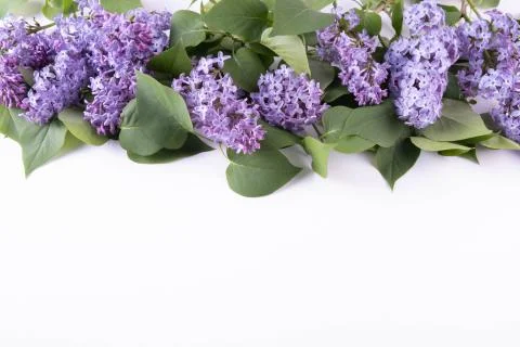 Spring lilac branches are at the top of the table Stock Photos