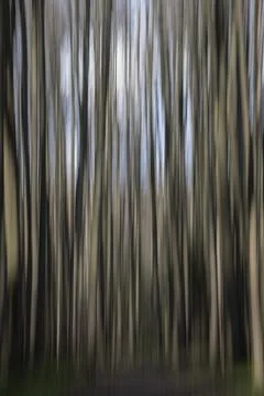 Spring lines Stock Photos