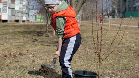Spring. A little boy planting fruit trees next to a multi-storey residential Stock-Footage 88548822
