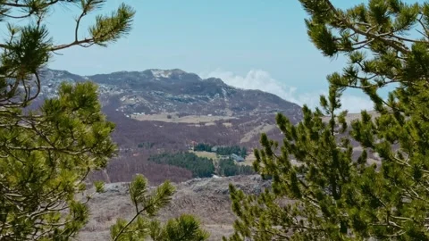 Spring Location: Pine Forest View from Lovcen Mountain Stock Footage 333182870