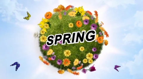 Spring logo Stock After Effects