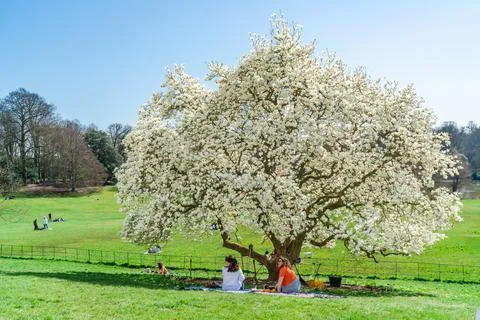 Spring in London Foto stock