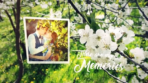 Spring Lovely Wedding Photo Slide After Effects stock