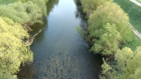 Spring low level flight above river with broadleaf trees on both banks Stock Footage 129004343
