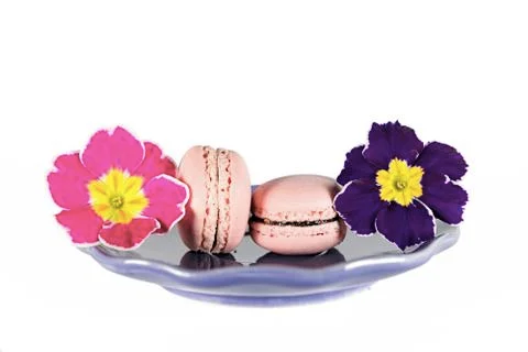 Spring macaron Stock Photos