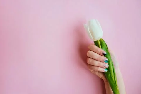 Spring manicure with tulip Stock Photos