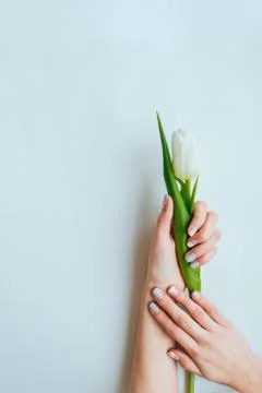 Spring manicure with tulip Stock Photos