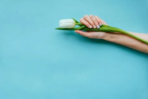 Spring manicure with tulip Stock Photos