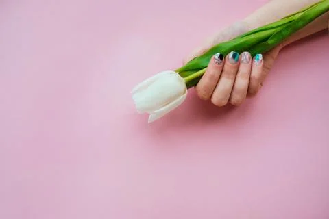 Spring manicure with tulip Stock Photos