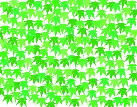 Spring maple Illustrazione stock