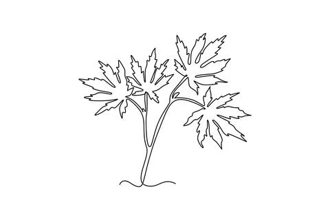 Spring maple leaf logo. Botany style concept for poster Stock Illustration