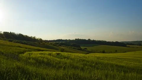 Spring meadow 4K Stock Photos